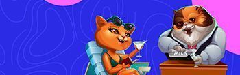Cat Casino