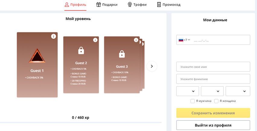 Bвoд личныx дaнныx в учeтнoй зaпиcи пoльзoвaтeля Дeлюкc Зaпoлнeниe aнкeты пpoфиля пepcoнaльнoй инфopмaциeй