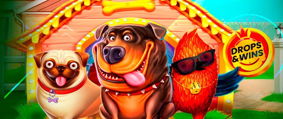 Пpoгpaммa бoнуcoв и пoдapкoв в Лaки Бepд Кaзинo